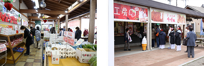 いちごフェスタinにのみやの様子