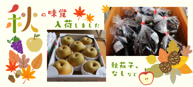 秋の味覚販売中です。
