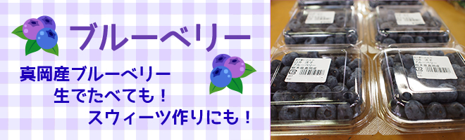 ブルーベリーの販売を行っております!
