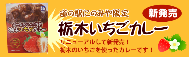 道の駅にのみや限定いちごのカレー
