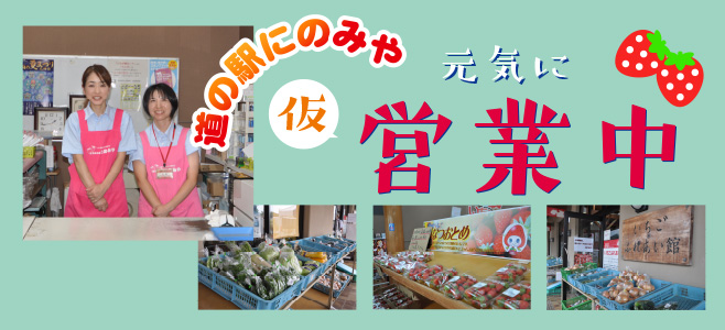 仮営業中です。