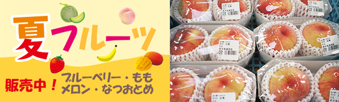 旬のフルーツをご用意しております。真岡産多数!