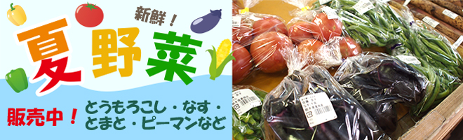 夏の新鮮なお野菜をたくさん取り揃えております。