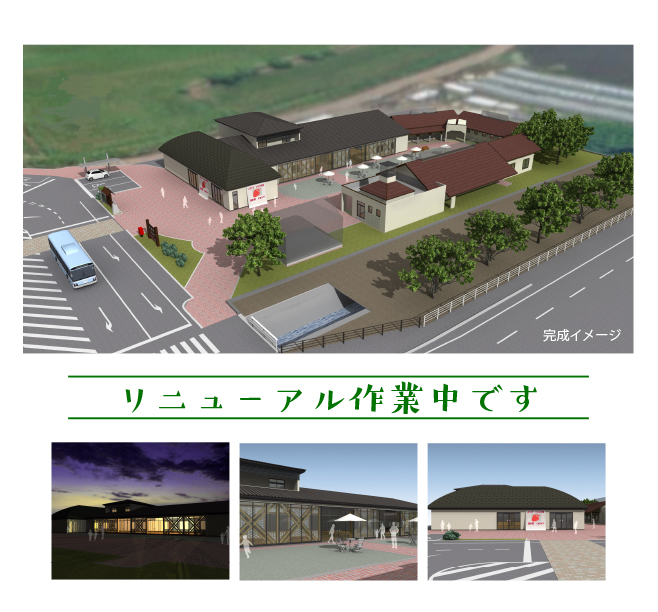 リニューアル中です。